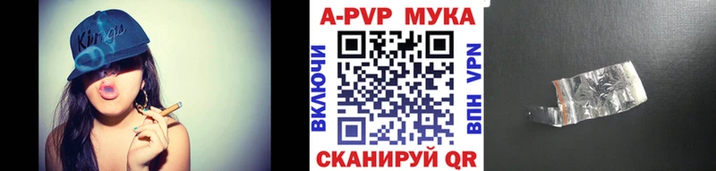 площадка формула  Курчалой  APVP СК КРИС 