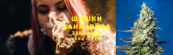 гашик Беломорск