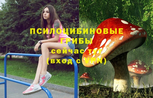 марихуана Белокуриха
