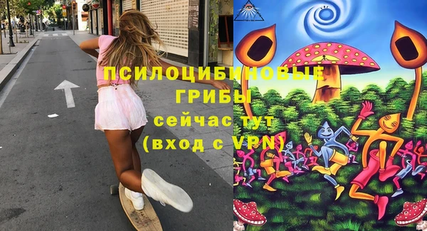 гашик Беломорск