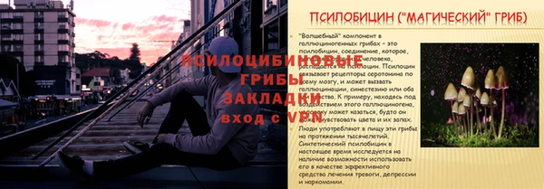 марихуана Белокуриха